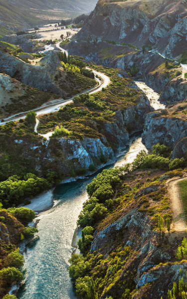 growbiz international