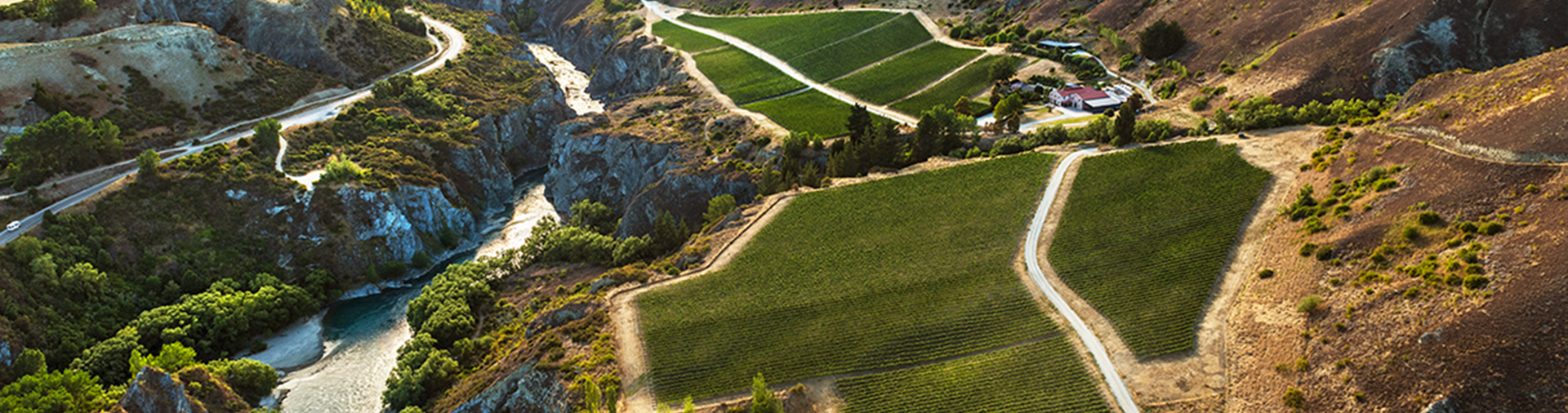 growbiz international