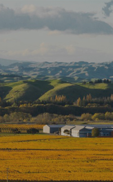 growbiz international