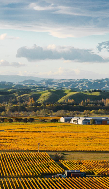 growbiz international